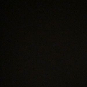 Meet your Posher, Sophia